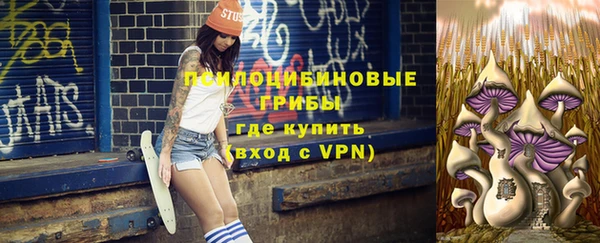 Альфа ПВП Абаза