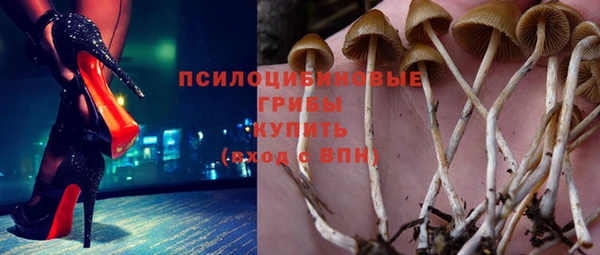 винт Абинск