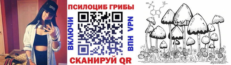 Псилоцибиновые грибы Magic Shrooms  наркотики  Кировград 